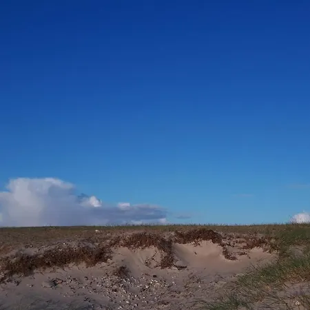 Alleshave * Eskebjerg