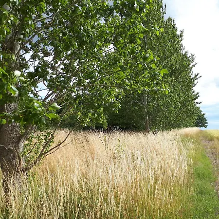 Alleshave Bed & Breakfast Eskebjerg